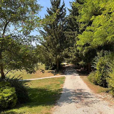 Отель Fonfa Liget Senye Экстерьер фото