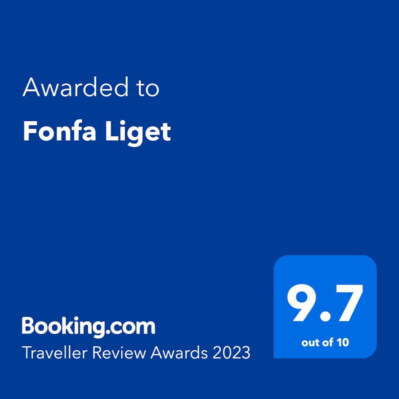 Отель Fonfa Liget Senye Экстерьер фото