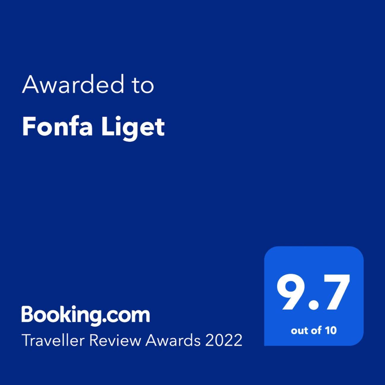 Отель Fonfa Liget Senye Экстерьер фото