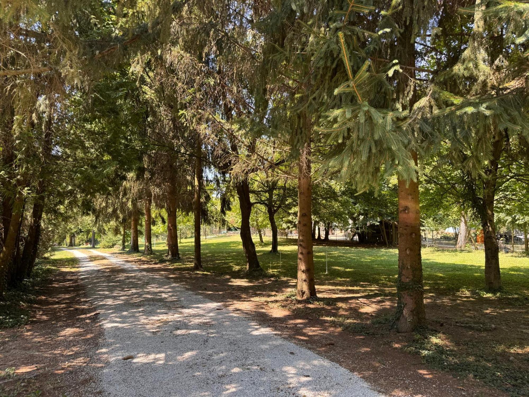 Отель Fonfa Liget Senye Экстерьер фото